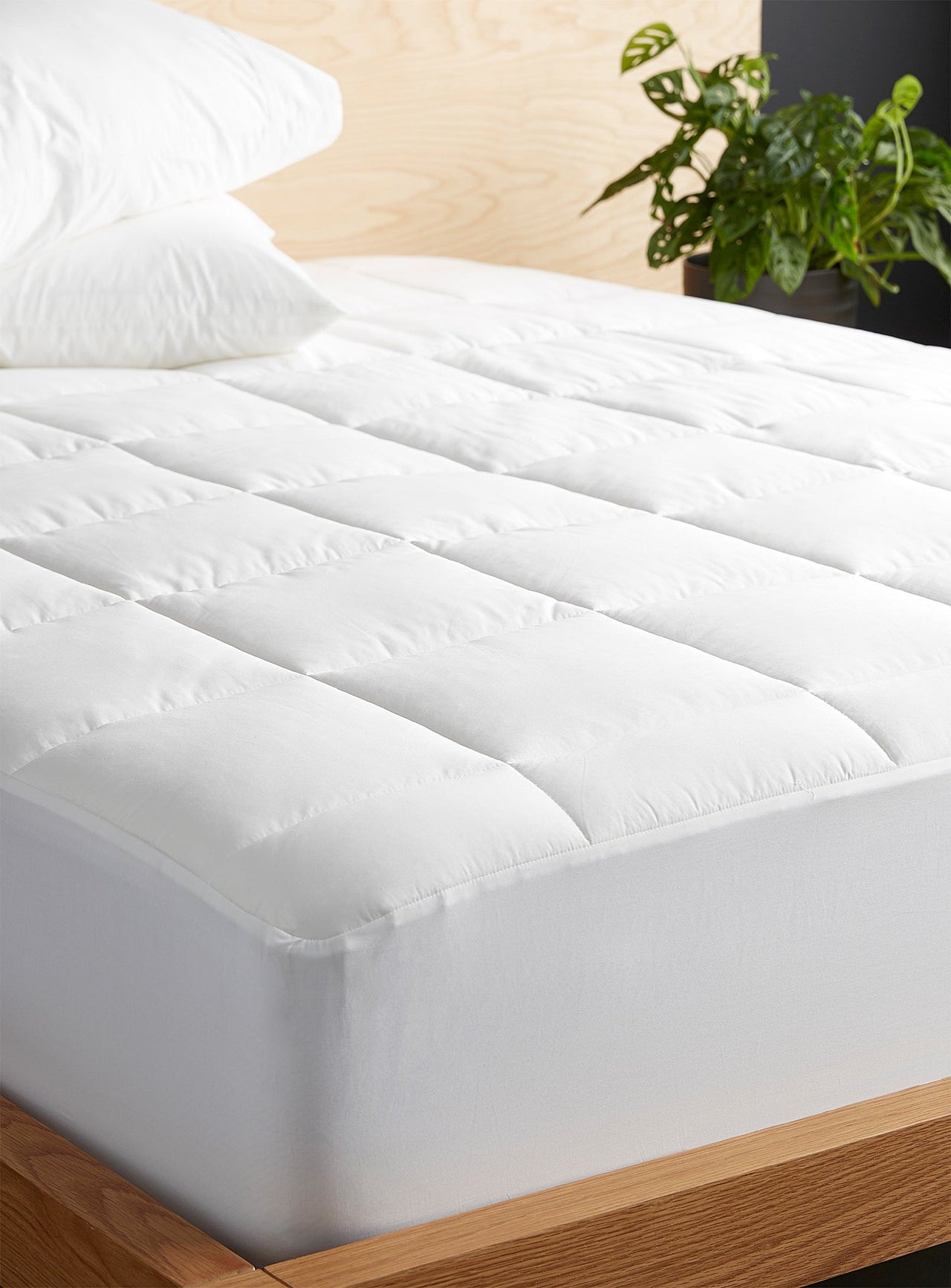 Egyptian cotton and bamboo rayon 330-thread-count mattress protector
