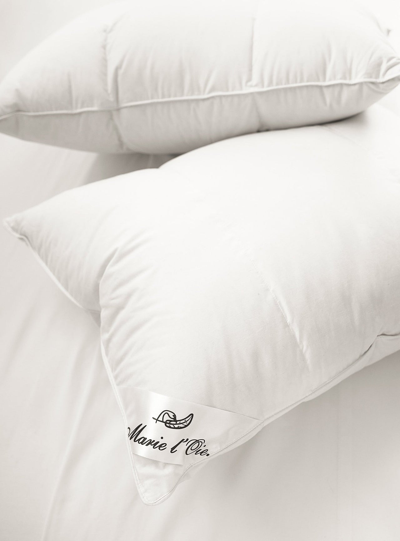 Royal Plus pillow